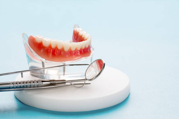 Best Pediatric Dentistry  in Burton, MI